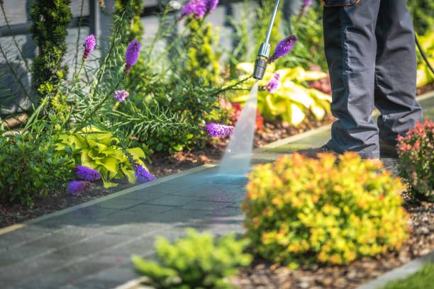 Best Sidewalk and Walkway Cleaning  in Clay City, KY